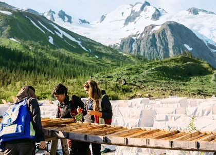 A group of researchers examines core samples on wooden racks in a scenic mountain setting, surrounded by lush greenery and snow-capped peaks.